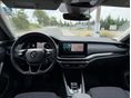 SKODA OCTAVIA 2023/8 - 3