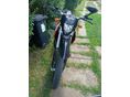 GENERIC TRIGGER SM 50 2010/1 - 2