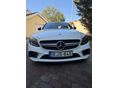 MERCEDES-AMG C 43 2019/4 - 6