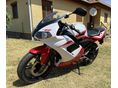 YAMAHA TZR 50 2007 - 2