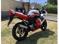 YAMAHA TZR 50 2007 - 3