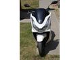 HONDA PCX 125 2024/10 - 2