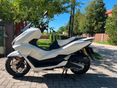 HONDA PCX 125 2026/4 - 2