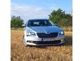 SKODA SUPERB 2.0 TDI SCR Style