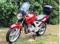 HONDA CBF 250 2005/2 - 3
