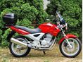 HONDA CBF 250 2005/2 - 4