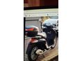 PIAGGIO LIBERTY 50 2t