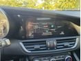 ALFA ROMEO GIULIA 2019/1 - 11