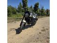 BENELLI LEONCINO 250 