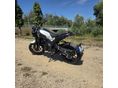 BENELLI LEONCINO 250 2020 - 2