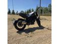 BENELLI LEONCINO 250 2020 - 3