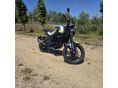 BENELLI LEONCINO 250 2020 - 4