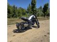 BENELLI LEONCINO 250 2020 - 5