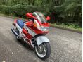 HONDA CBR 1000 F 1991/3 - 3