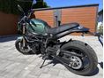 BENELLI LEONCINO 800 2022 - 4