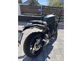 BENELLI LEONCINO 800 2022 - 8