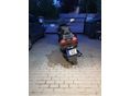 SUZUKI AN 400 BURGMAN 2004/6 - 11