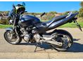 HONDA CB 600 F (HORNET) Pc36