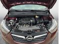 OPEL CROSSLAND X 2019/8 - 12