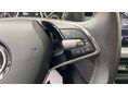 SKODA SCALA 2023/4 - 17