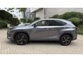 LEXUS NX 2021/2 - 4