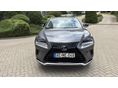 LEXUS NX 2021/2 - 2