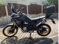 VOGE DS800X RALLY 2026/7 - 2