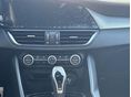 ALFA ROMEO GIULIA 2025/1 - 16