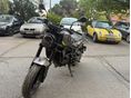 BENELLI LEONCINO 250 2023 - 3