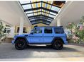 MERCEDES-BENZ G 500 2010/11 - 20