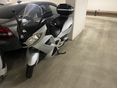 MALAGUTI SPIDERMAX GT 500 2008/5 - 2
