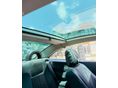 RENAULT MEGANE 2006/9 - 12