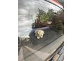 FIAT SEICENTO 1998/11 - 3