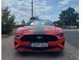 FORD MUSTANG Fastback 55 5.0 Ti-VCT