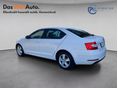 SKODA OCTAVIA 2019/3 - 2