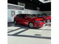 RENAULT MEGANE 2021/7 - 3
