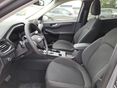 FORD KUGA 2026/7 - 6