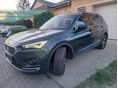 SEAT TARRACO 2019/4 - 2