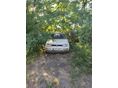 VOLKSWAGEN GOLF III 1.9 TDI CL Syncro