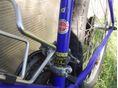 BICYCLE 2013/1 - 3