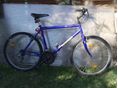 BICYCLE 2013/1 - 4