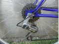 BICYCLE 2013/1 - 5