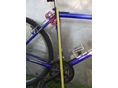 BICYCLE 2013/1 - 10