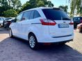 FORD C-MAX 2019/1 - 6