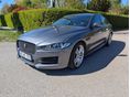 JAGUAR XE 2015/7 - 2