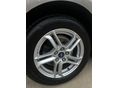 FORD FOCUS 2019/1 - 12