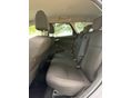 FORD FOCUS 2013/10 - 12