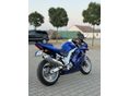 SUZUKI SV 650 S 2003/4 - 4