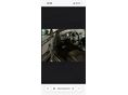 SKODA SUPERB 2019/5 - 8