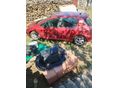 PEUGEOT 307 2002/10 - 4